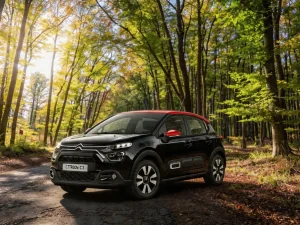 Citroen C3 Automatic rent a car Montenegro