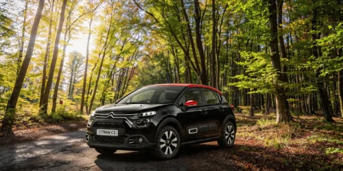 Citroen C3 Automatic rent a car Montenegro