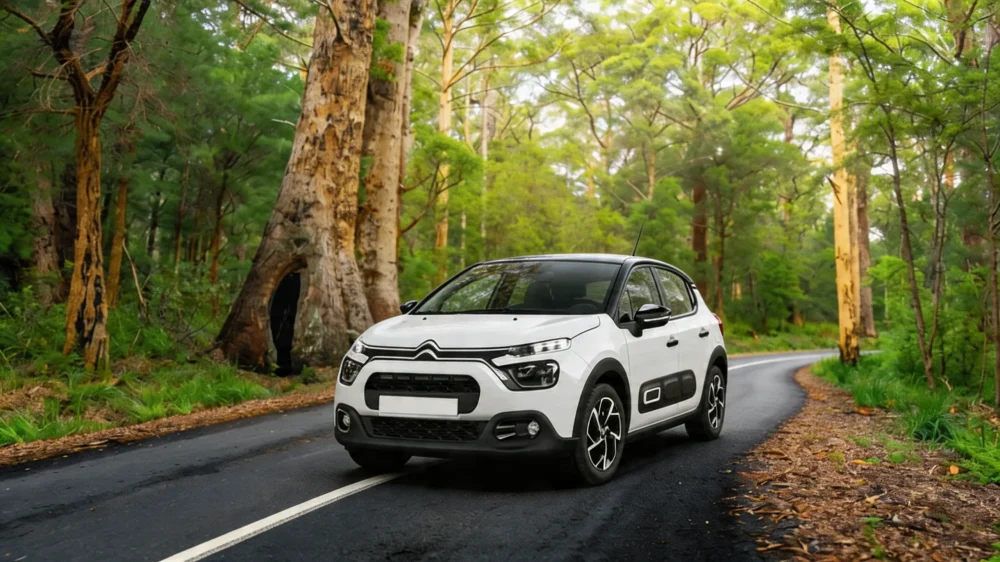 Citroen C3 Mechanic rent a ca Montenegro