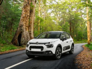 Citroen C3 Mechanic rent a ca Montenegro