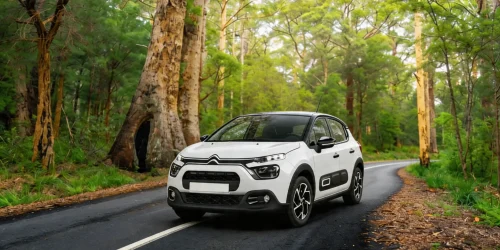 Citroen C3 Mechanic rent a ca Montenegro