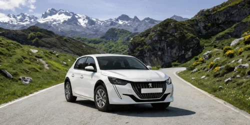 Peugeot 208 Manual rent a car Montenegro