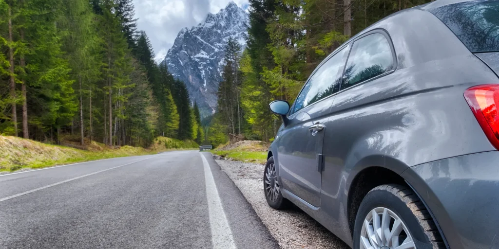 Diva rent a car Montenegro forest road